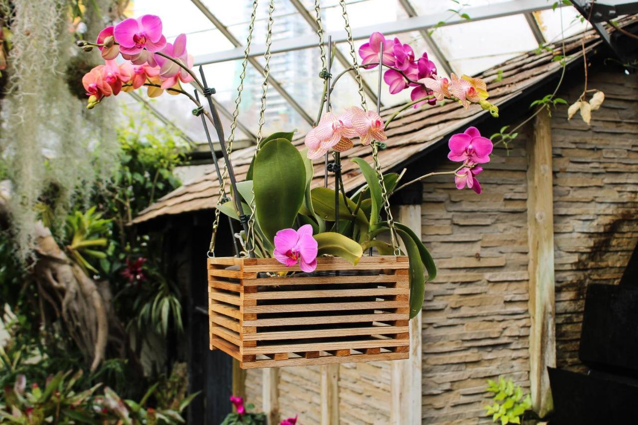 Villa Orchid Garden Riverside Хойан Экстерьер фото